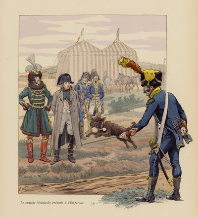 Der Hund Moustache wird Napoleon vorgestellt (Farblithografie) von pseudonym for Onfray de Breville Jacques Job