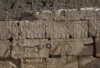 Relief, Tempel von Ramses II, Abydos, Ägypten, Ägyptische Zivilisation