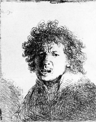 Selbstportrat 1630 Von Rembrandt Van Rijn 70447