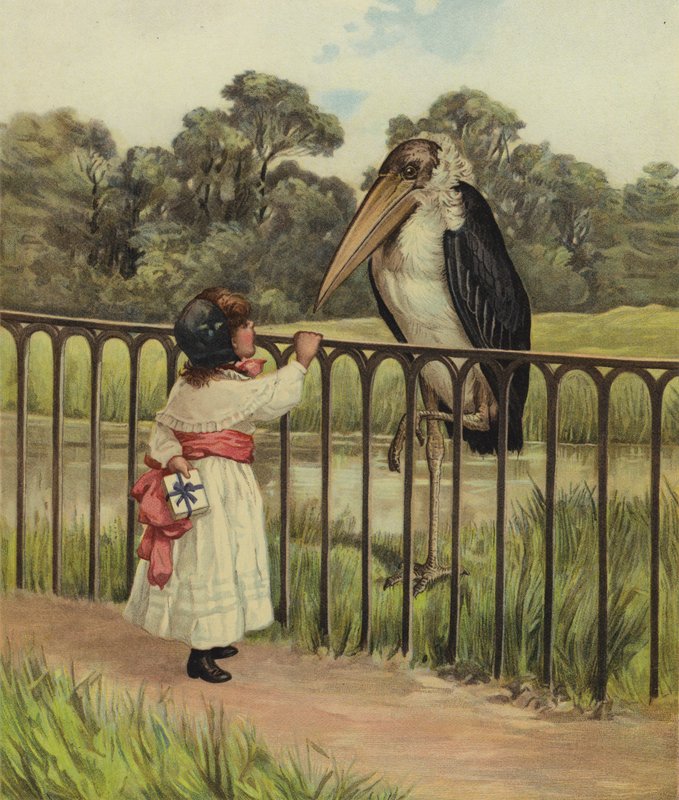 Ein junges Mädchen fragt einen Adjutantvogel nach seinem Namen von English School