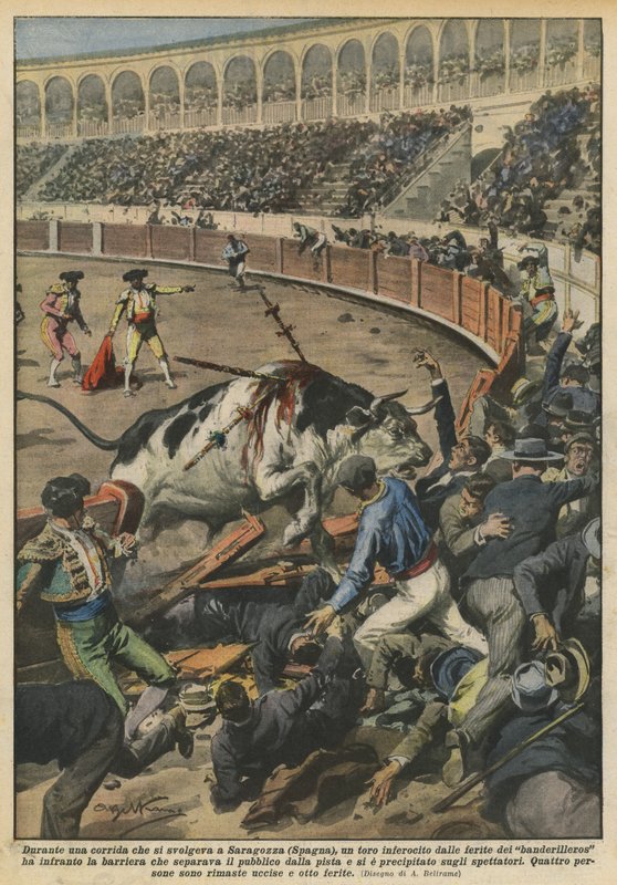 Während eines Stierkampfes in Saragossa (Spanien) wurde ein Stier durch die Wunden wütend von Achille Beltrame
