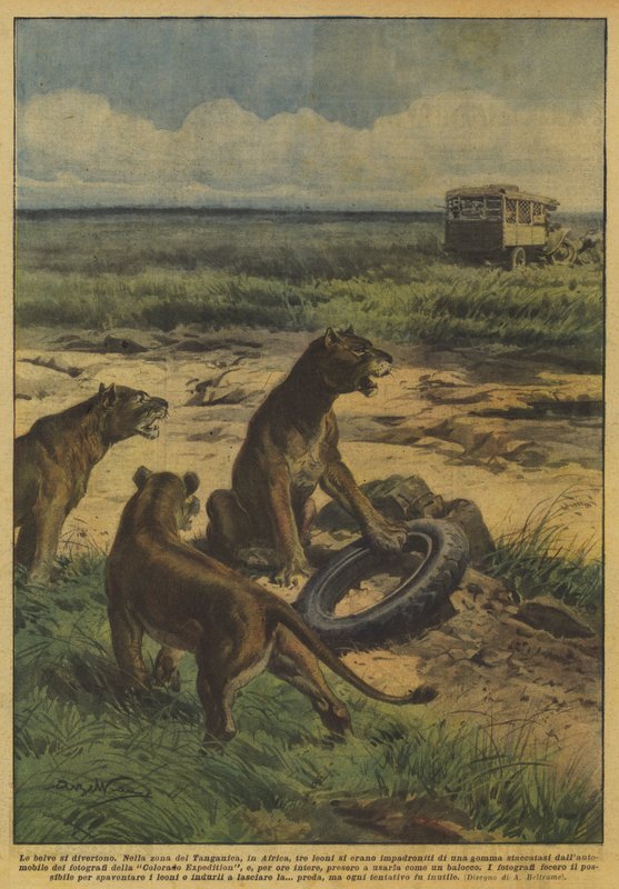 Die wilden Tiere haben Spaß von Achille Beltrame