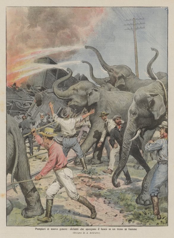 Feuerwehrleute neuer Art, Elefanten löschen ein Feuer in einem brennenden Zug von Achille Beltrame