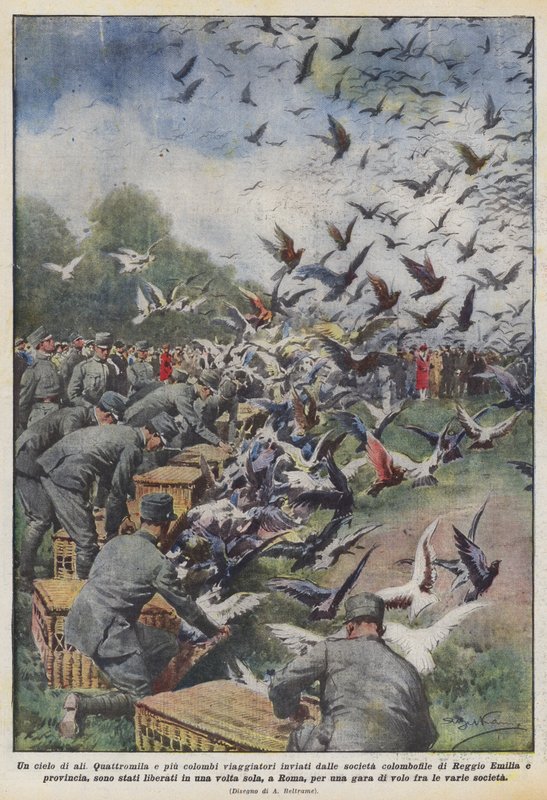 Ein Himmel voller Flügel von Achille Beltrame