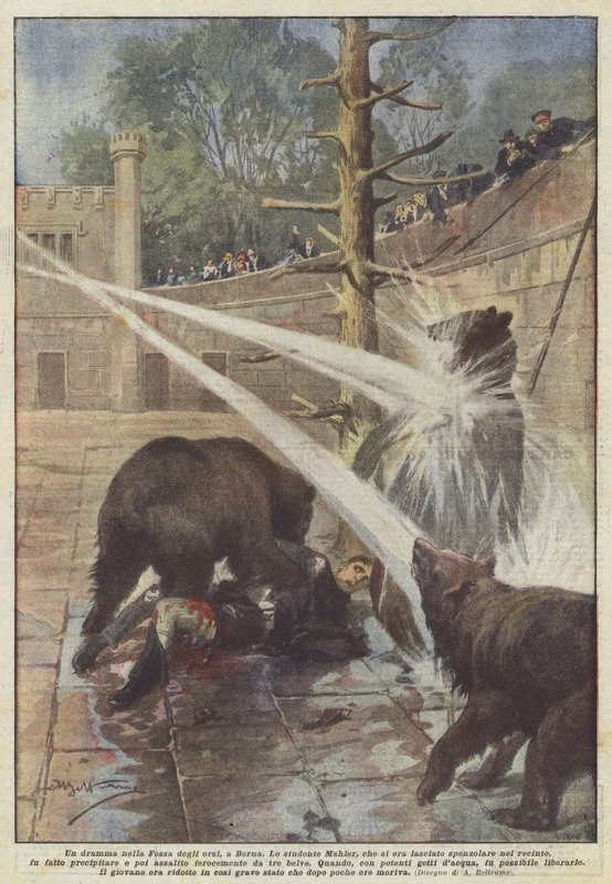 Ein Drama in der Bärengrube in Bern von Achille Beltrame