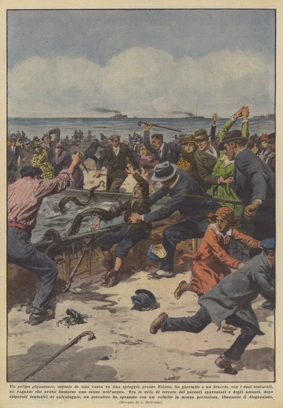 Ein riesiger Oktopus, ausgestellt in einem Becken an einem Strand bei Toulon, hat... von Achille Beltrame