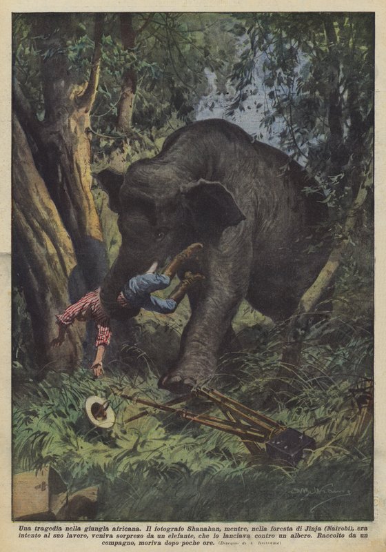 Eine Tragödie im afrikanischen Dschungel von Achille Beltrame