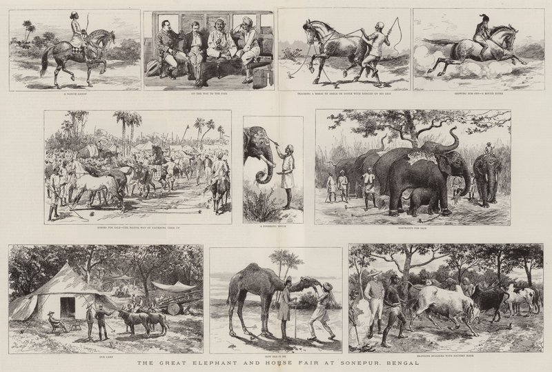 Der große Elefanten- und Pferdemarkt in Sonepur, Bengalen von Adrien Emmanuel Marie