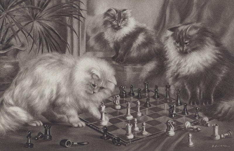 Gruppe von Katzen, die mit Schachfiguren spielen von Agnes Augusta Talboys