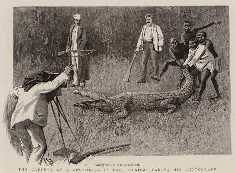 Die Ergreifung eines Krokodils in Ostafrika, seine Fotografie machend von Alexander Stuart Boyd