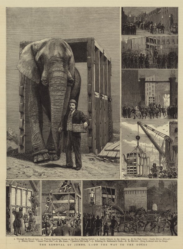 Der Abtransport von Jumbo, I, auf dem Weg zu den Docks von Alfred Chantrey Corbould
