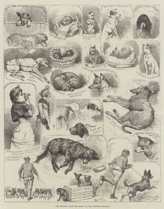 Die Hundeschau des Kennel Clubs im Crystal Palace von Alfred Courbould