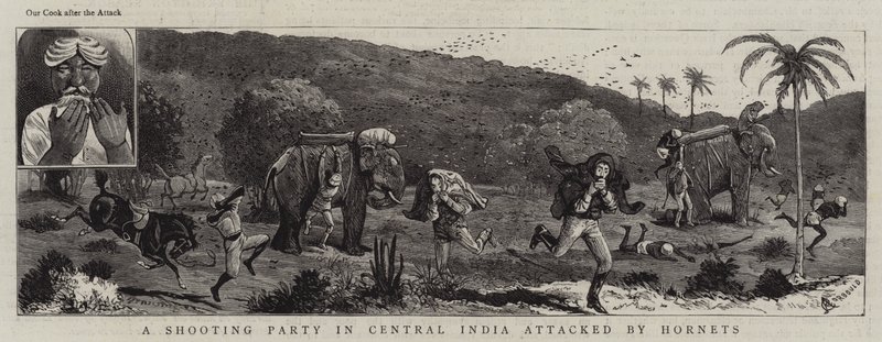 Eine Jagdgesellschaft in Zentralindien von Hornissen angegriffen von Alfred Chantrey Corbould