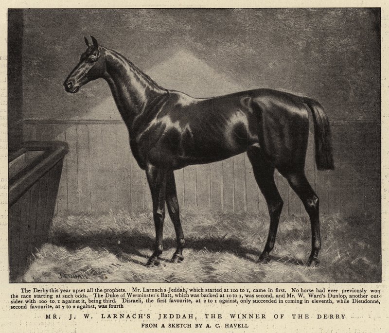 Mr J W Larnachs Jeddah, der Gewinner des Derbys von Alfred Charles Havell