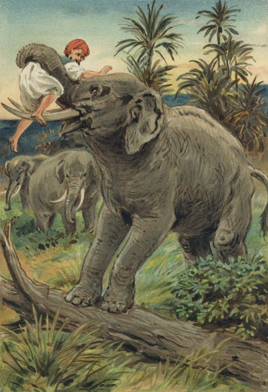 Arabische Nächte: Die Geschichte von Sindbad dem Seefahrer von Alfred W. Cooper