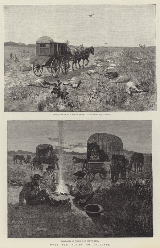 Über die Ebenen nach Colorado von Amedee Forestier