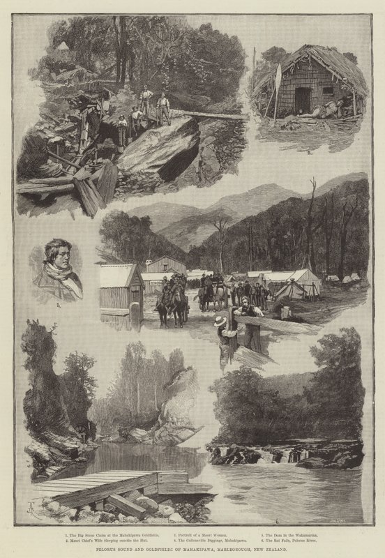 Pelorus Sound und Goldfelder von Mahakipawa, Marlborough, Neuseeland von Amedee Forestier