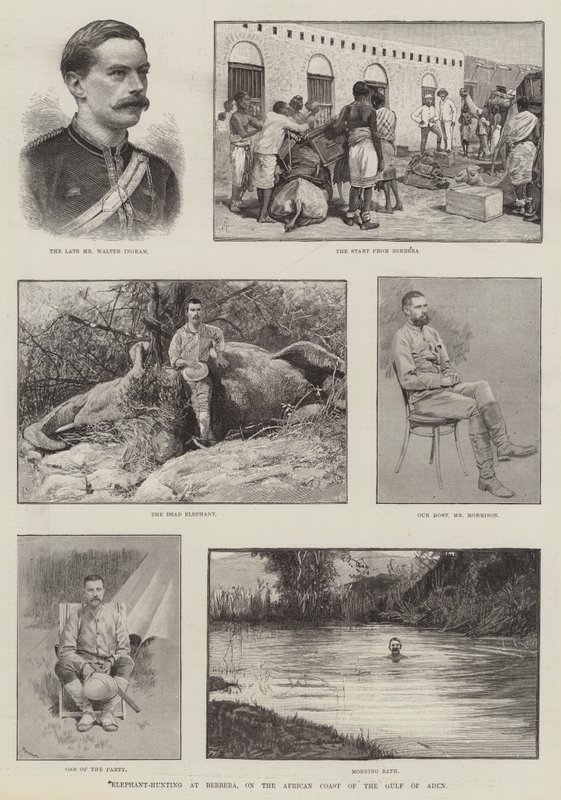 Elefantenjagd bei Berbera an der afrikanischen Küste des Golfs von Aden von Amedee Forestier