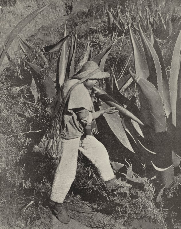Ein mexikanischer Pulque-Sammler von American Photographer (after)