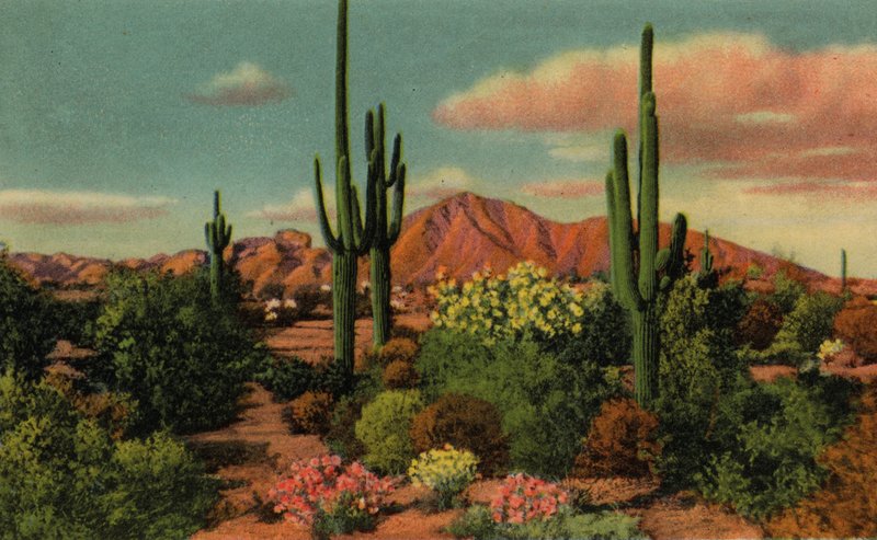Phoenix, Arizona: Camelback Mountain und Wüste von American Photographer (after)