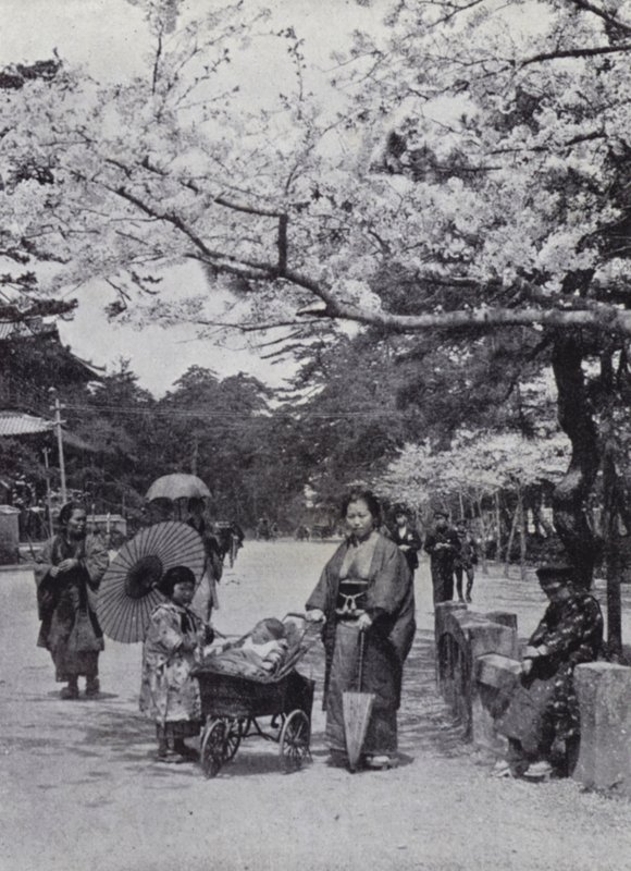 Unter den Kirschblüten im Shiba-Park, Tokio von American Photographer (after)