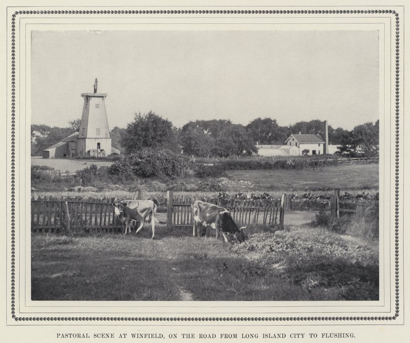 Pastorale Szene in Winfield, auf der Straße von Long Island City nach Flushing von American Photographer