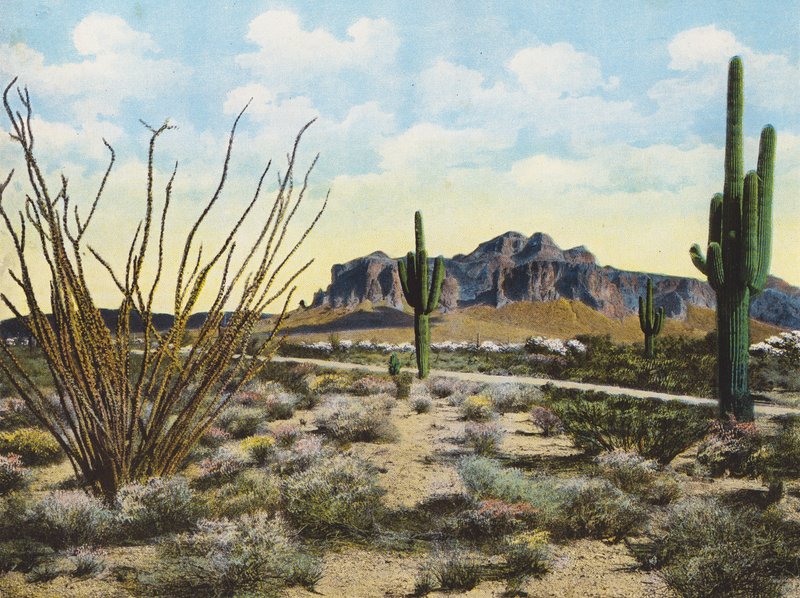 Superstition Mountain und Wüste, "Apache Trail" von American Photographer