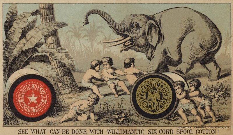 Jungen fangen Elefanten mit Baumwolle von American School