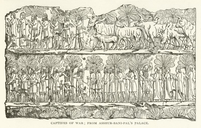 Kriegsgefangene; aus dem Palast von Assur-bani-pal von American School