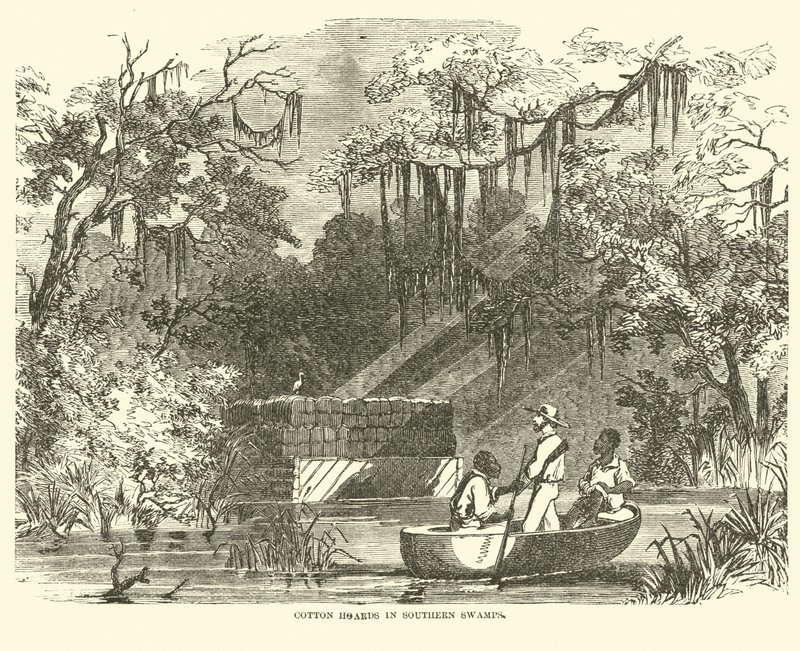 Baumwollhorte in südlichen Sümpfen, Juli 1862 von American School