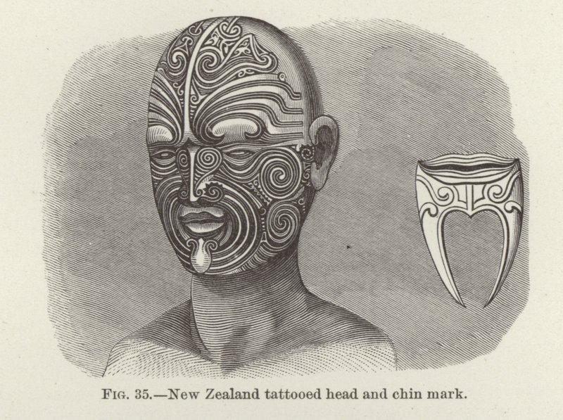 Tätowierter Kopf und Kinnzeichen aus Neuseeland von American School