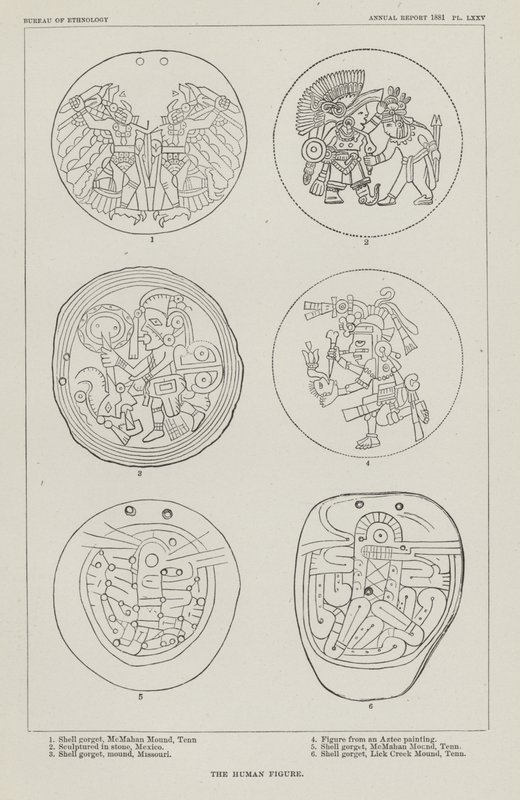 Die menschliche Figur von American School