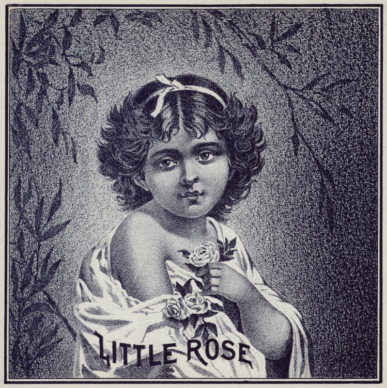 Junges Mädchen mit Rosen von American School