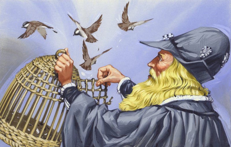 Leonardo Da Vinci, der Käfigvögel kaufte, um sie freizulassen von Angus McBride