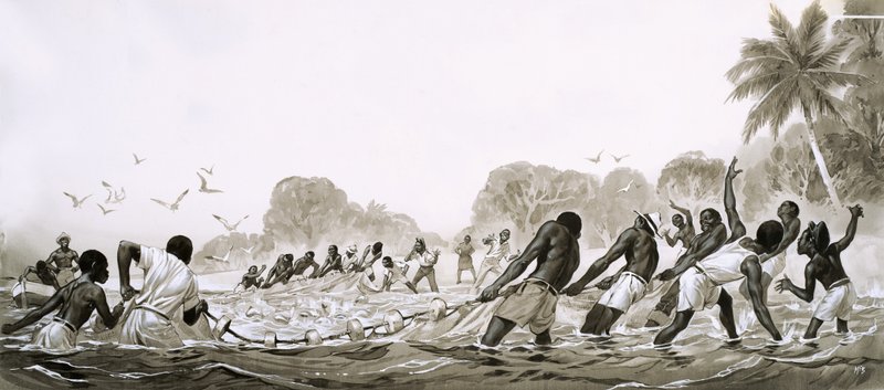 Einheimische der Karibik verwenden Netze, um die Meere nach Fischen abzusuchen von Angus McBride