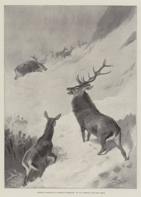 Sportliche Motive, durch den tiefen Schnee von Archibald Thorburn