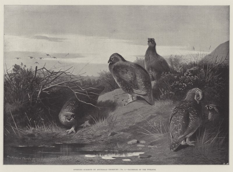 Sportliche Themen, Morgengrauen am Zwölften von Archibald Thorburn
