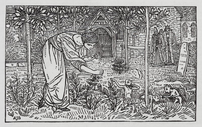 Hans Christian Andersen: Die wilden Schwäne von Arthur Joseph Gaskin
