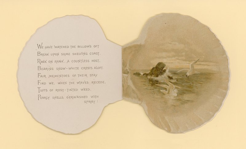 Illustration für ein Heft mit dem Titel Meeresmuscheln von Benjamin D. Sigmund
