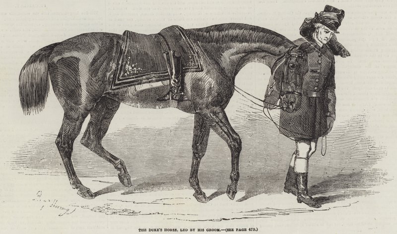 Das Pferd des Herzogs, geführt von seinem Stallmeister von Benjamin Herring