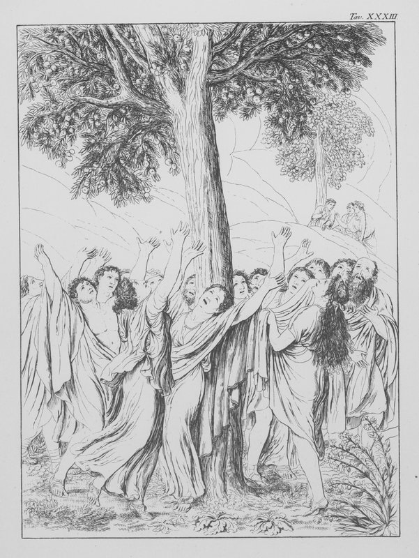 Dantes Göttliche Komödie, Purgatorio (Fegefeuer), Platte XXXIII von Bernhard Schuler