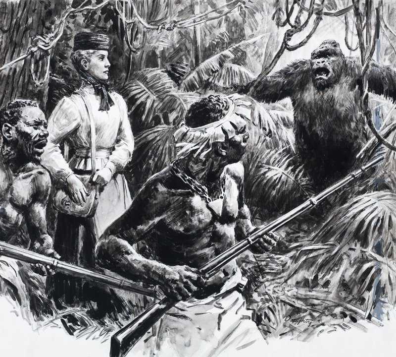 Die Entdeckerin Mary Kingsley in Afrika von C.L. Doughty