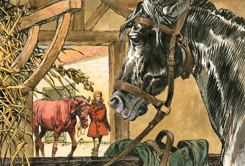 Black Beauty von Carlos Gabriel Roume