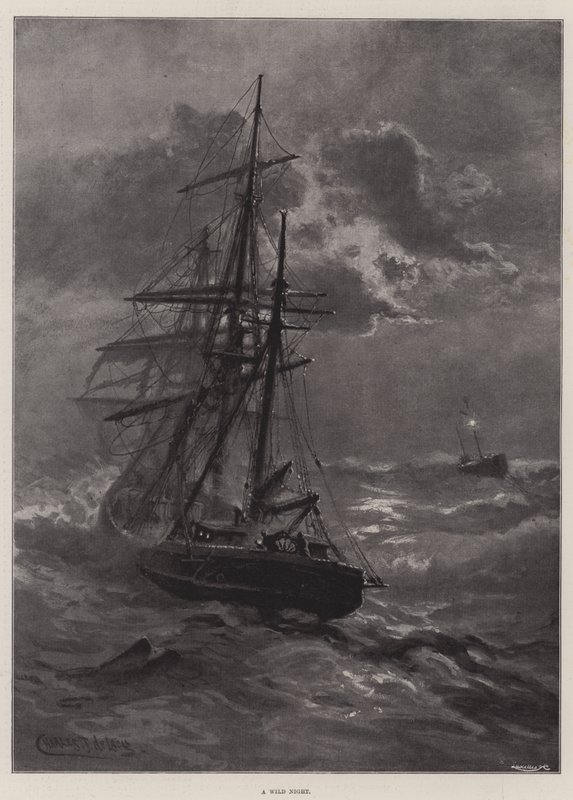Eine wilde Nacht von Charles John de Lacy