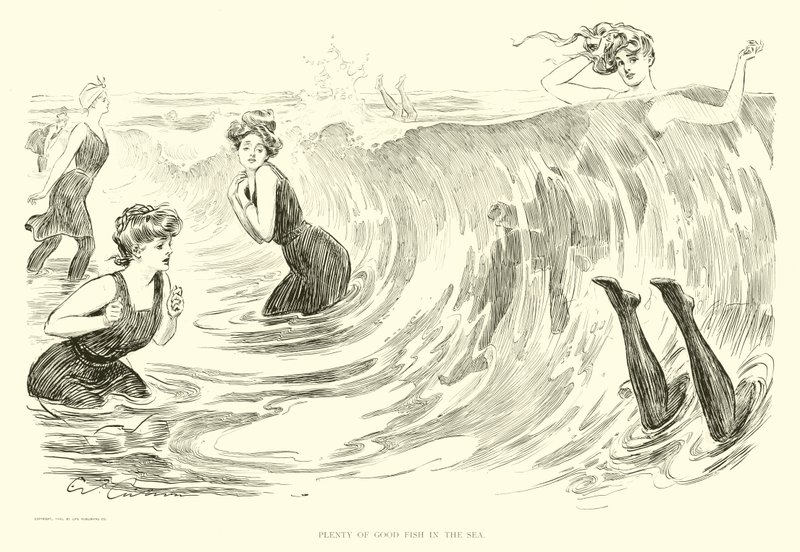Illustration für Die soziale Leiter von Charles Dana Gibson