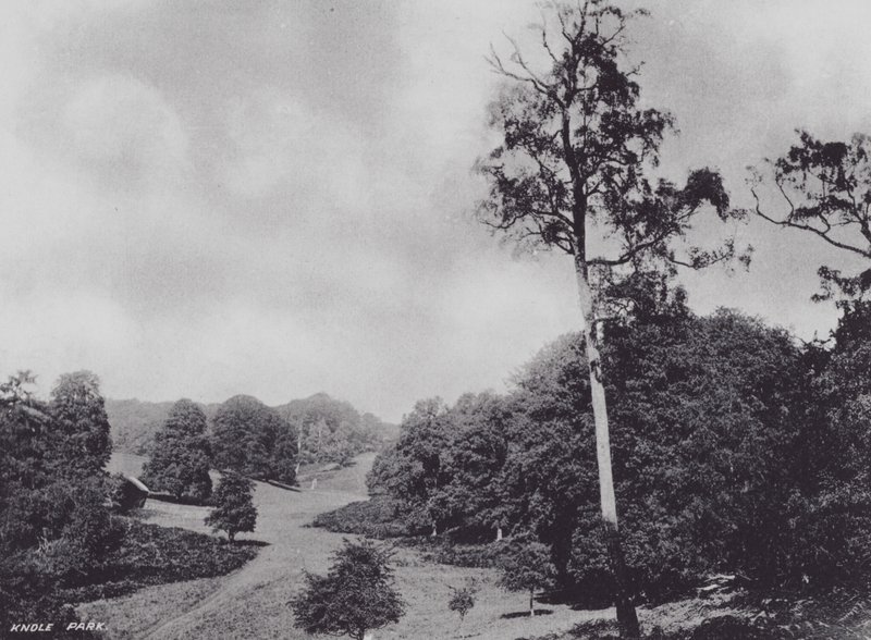 Knole Park (s/w Foto) von Charles Essenhigh Corke