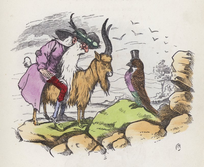 Ein sehr unverschämter Vogel von Charles Henry (after) Bennett