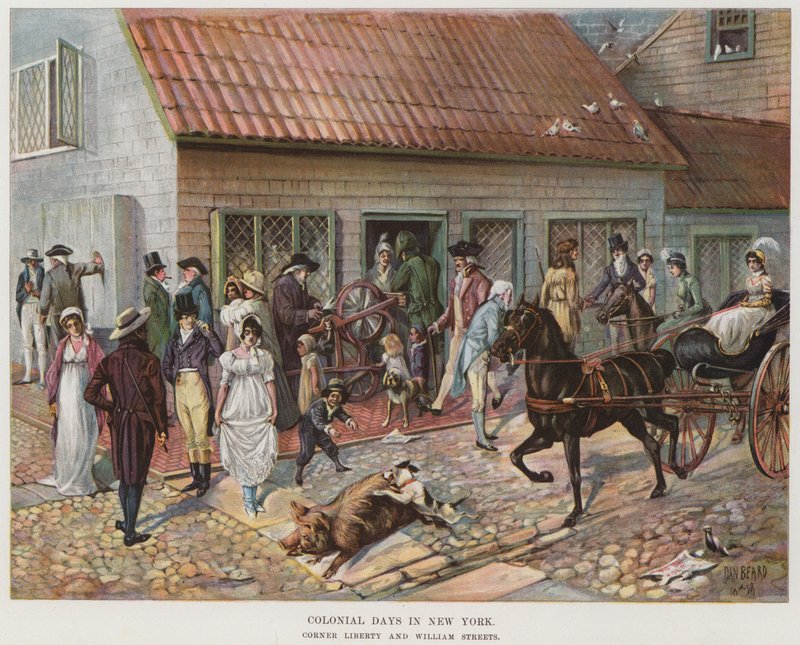 Kolonialzeit in New York von Daniel Carter  Beard