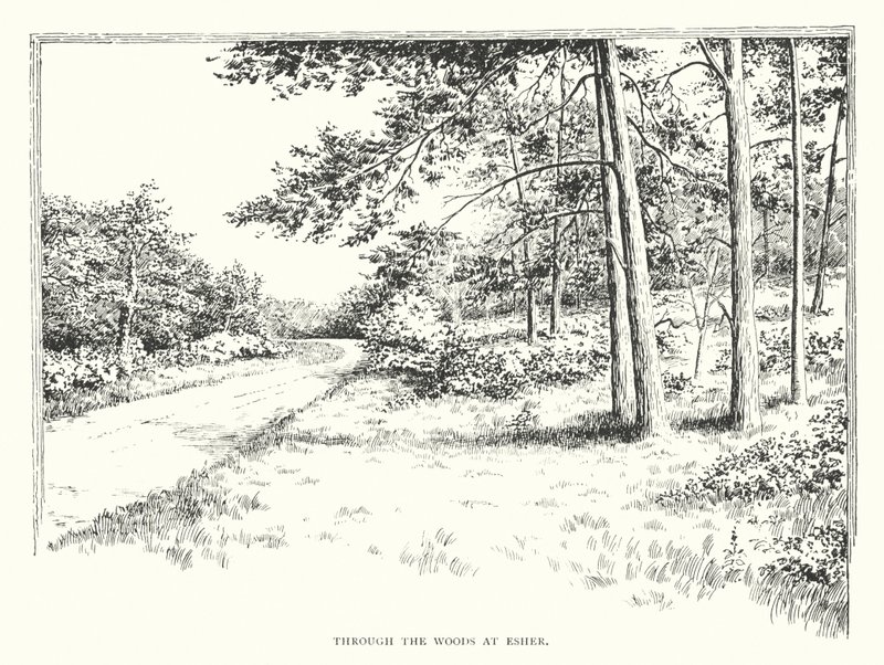 Durch die Wälder bei Esher von Duncan Moul