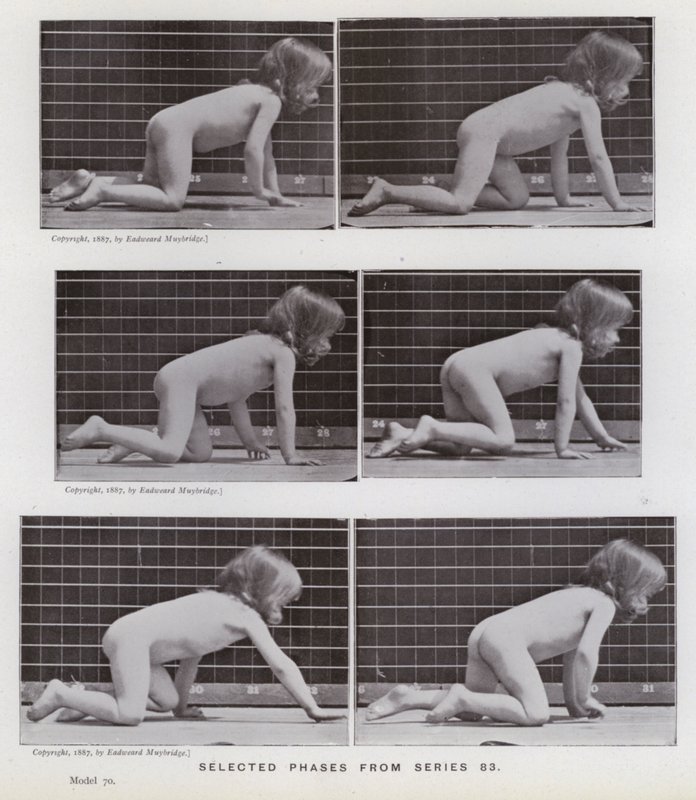 Die menschliche Figur in Bewegung: Ausgewählte Phasen aus Serie 83 von Eadweard Muybridge
